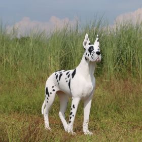 Standing Great Dane