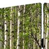 84" Green Canvas Folding Four Panel Screen Room Divider
