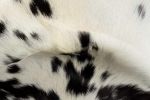 2' X 3' Black And White Cowhide Cowhide Print Hand Woven Area Rug