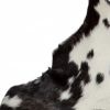 2' X 3' Black And White Cowhide Cowhide Print Hand Woven Area Rug