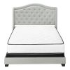 Light Gray and Gray Wood Tufted Upholstered Queen Bed Frame with Nailhead Trim