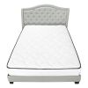 Light Gray and Gray Wood Tufted Upholstered Queen Bed Frame with Nailhead Trim