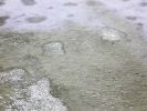 5' X 6' Silver Cowhide Handmade Area Rug
