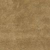 8' X 10' Gold Shag Hand Woven Area Rug