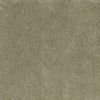 8' X 10' Sage Shag Hand Woven Area Rug