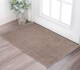 2' X 4' Beige Hand Woven Area Rug