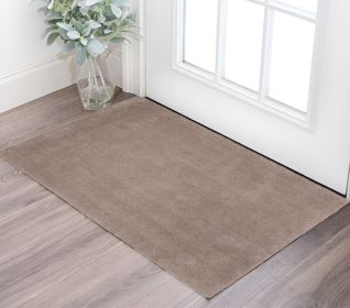 2' X 4' Beige Hand Woven Area Rug