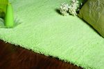 3' X 5' Green Shag Hand Woven Area Rug