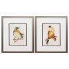 14" X 16" Metallic Bronze Frame Eco Bird (Set Of 2)