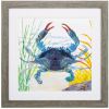 23" X 23" Woodtoned Frame Sea Creature Crab