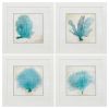 Set of Four 21" Blue Coral White Frame Wall Decor