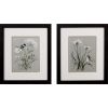 Set of Two Babybreaths and Birds Wall Art