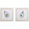 Set of Two Oysters Watercolor Framed Wall Art