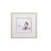 Set of Four Colorful Birds on Branches Wall Art