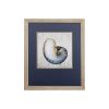 Set of Two Ocean Seashells Wall Art