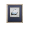 Set of Two Ocean Seashells Wall Art