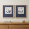 Set of Two Ocean Seashells Wall Art