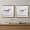 Set of Two Colorful Beach Birds Wall Art